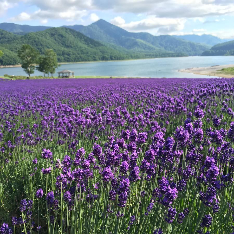 Nanputei Hotel Minamifurano Екстериор снимка